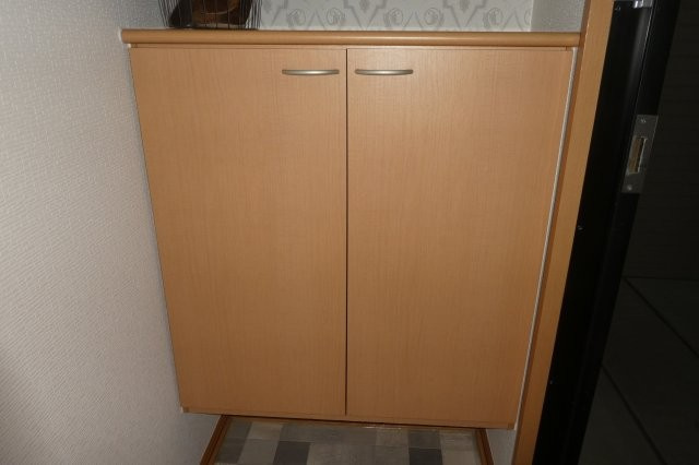 メゾン・ド・セジュールＢの内装|シューズボックス