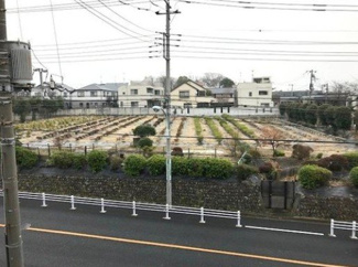 【展望】