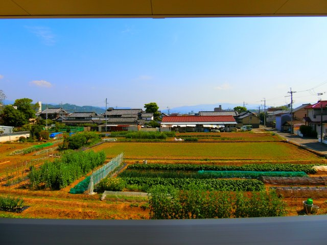 プランドールＡの展望