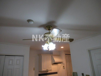 【内装】 | プロシード八戸ノ里（八戸ノ里賃貸） | お洒落な照明です