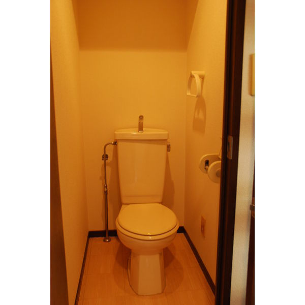 アクセス天神のトイレ|写真は別号室タイプです