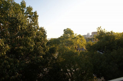 【展望】 | ボルネ塚口