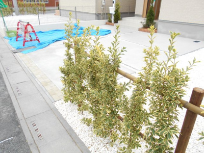 【駐車場】 | 岩槻区　美園東　全2棟　1号棟　58坪　らすと1棟