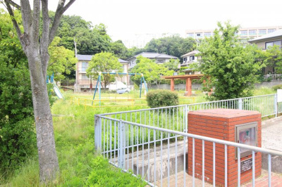 【周辺】 | パールエッグクノキ