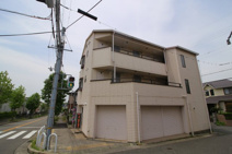 パールエッグクノキの画像