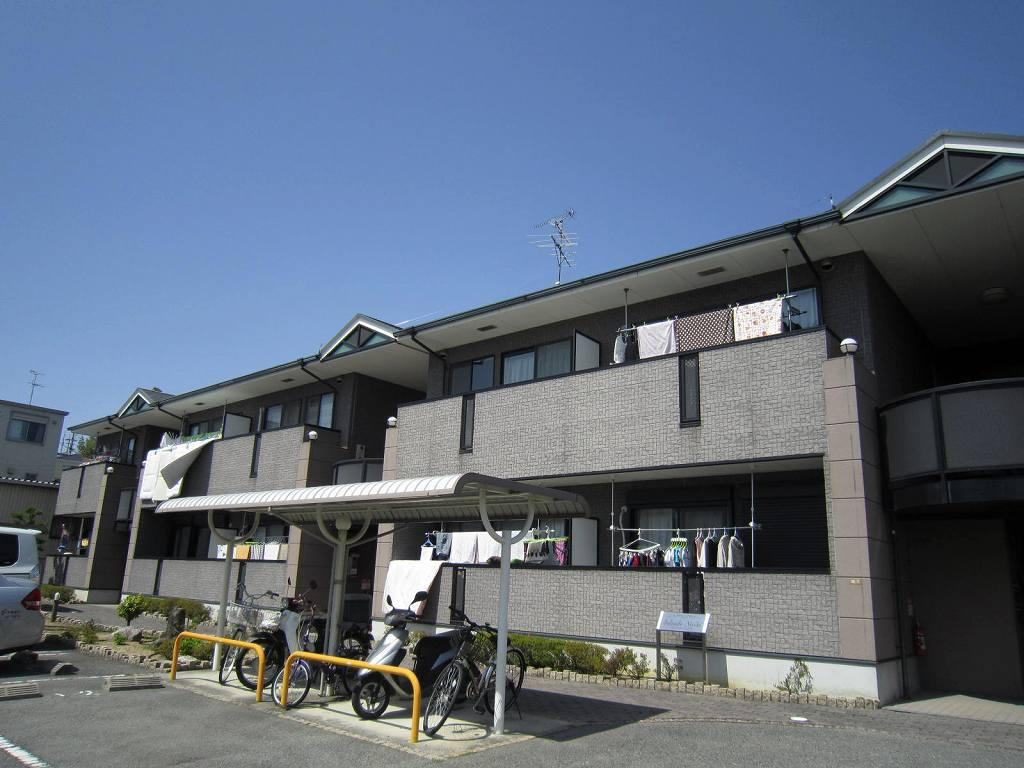 ソレアード・ニシキ