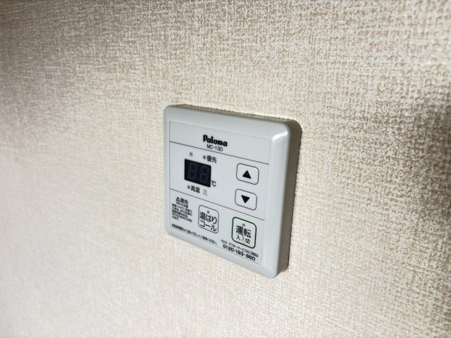 ブレッシングの外観