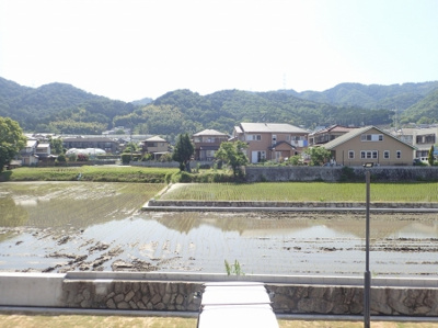 【展望】 | Grace Wood