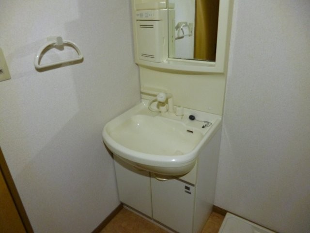 ジンジャエールⅡの独立洗面台|シャンプードレッサー