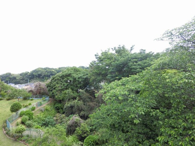 【展望】 | 上中里団地20号棟