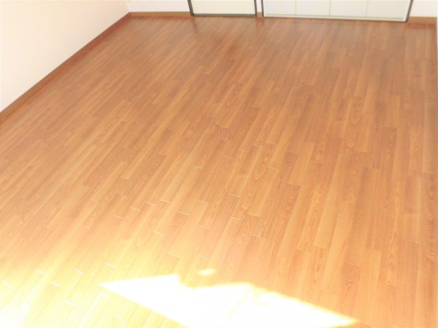 SurplusⅠSky hills　Ａ棟の洋室
