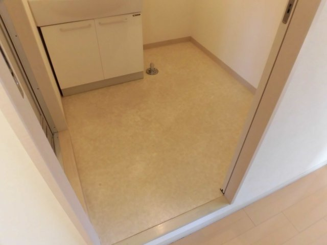 アクシス三本木の洗面所