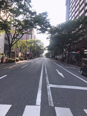 シャンボール大名 の周辺|緑が多いです