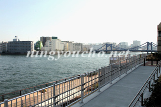 【周辺】 | 隅田川テラス