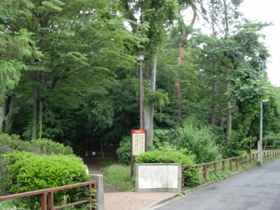 【周辺】 | 井の頭5丁目賃貸一戸建て | 井の頭公園