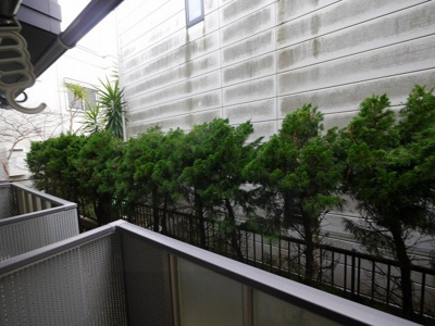 【展望】 | レインボーコート