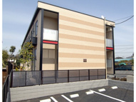 がじゅまるの画像