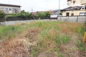 立川市富士見町4丁目　売地　全2区画　2号区の画像