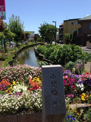 【周辺】 | クレッセント武蔵中原 | 江川せせらぎ遊歩道沿い