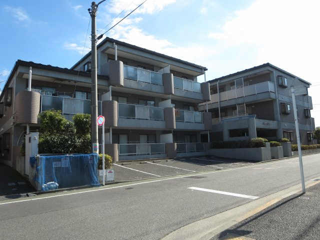 プラムエヌティー