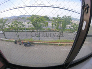 【展望】