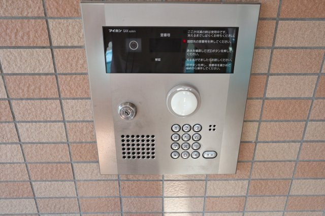 ルイーゼのセキュリティ