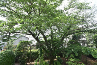 【展望】 | 物件のお問い合わせは、 ０３－５４５６－５４１５までお気軽にどうぞ！