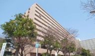 大島三丁目団地1号棟の画像