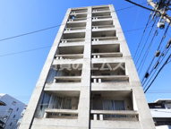 Ｓｈｉｏｂａｒｕ３１８１の画像
