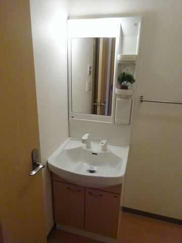 フィオレットの洗面所