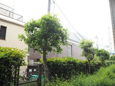 【展望】 | グランハイツ東新宿 | グランハイツ東新宿の展望です