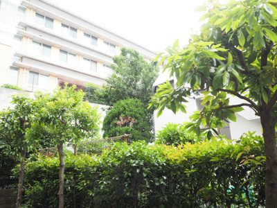 【展望】 | グランハイツ東新宿 | グランハイツ東新宿の展望です