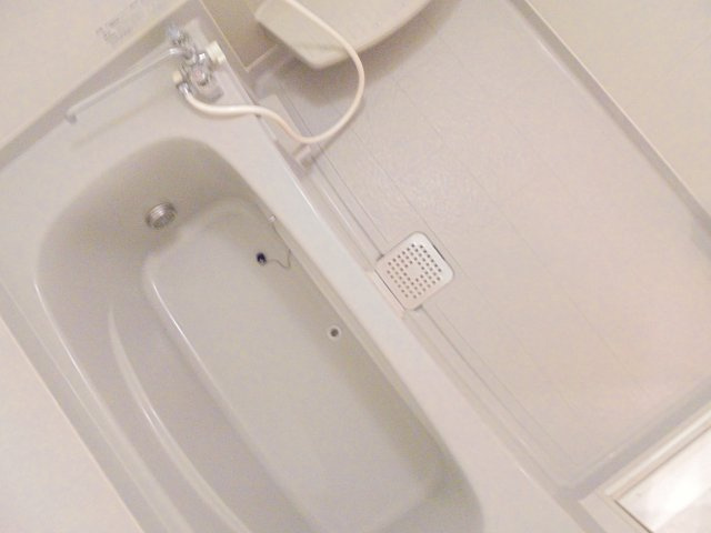 グレーリングの浴室