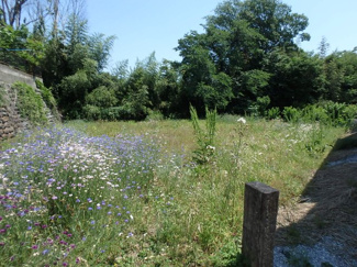 【外観】 | 高崎市　石原町売地