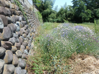 【外観】 | 高崎市　石原町売地
