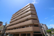 ロイヤル三ッ星Ⅲの画像