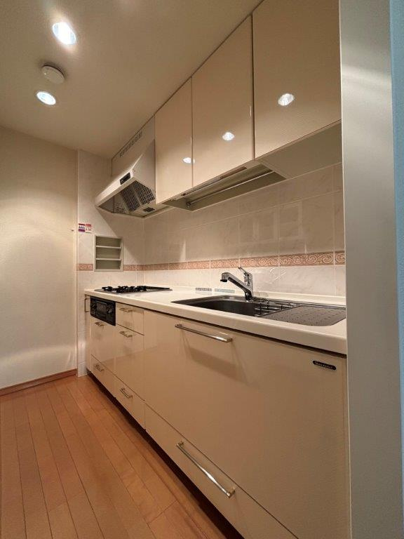 ジェネラスマンション医大前のキッチン