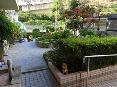 【エントランス】 | グリーンマンション野間