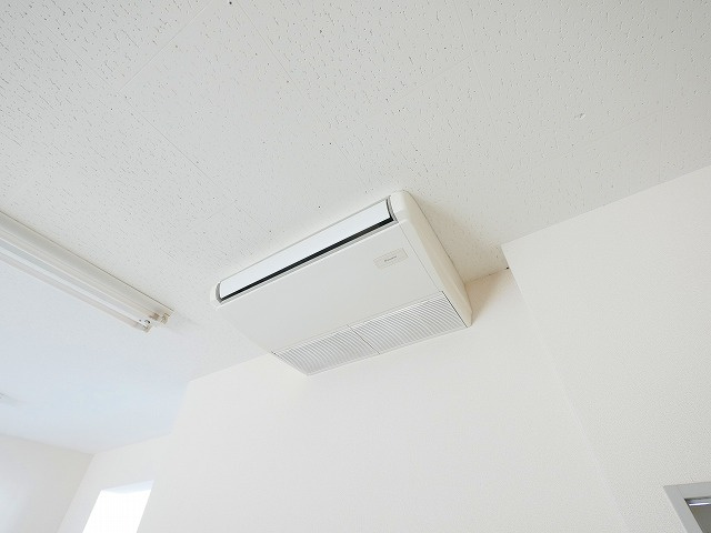 井田マンションの内装