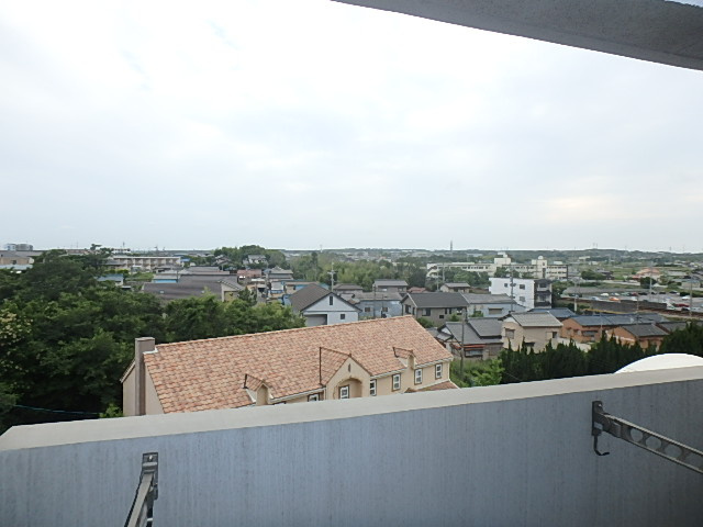 クオリアの展望