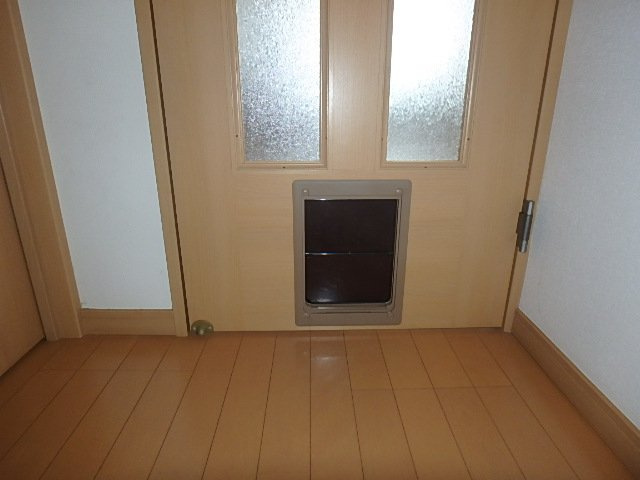 クオリアのその他