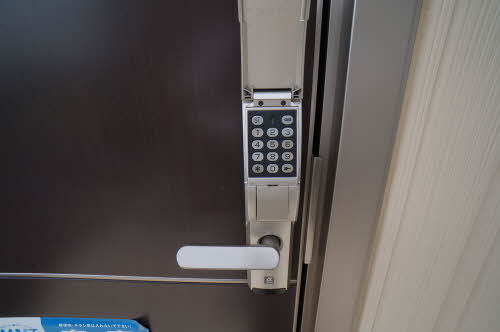 グリシーヌのその他