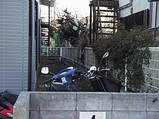 【エントランス】 | ベアーウッド