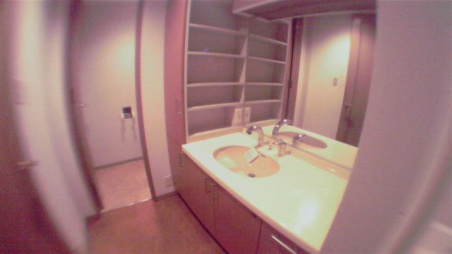 港区六本木３丁目の賃貸マンションのその他|洗面