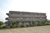 ガーデンクレストの画像