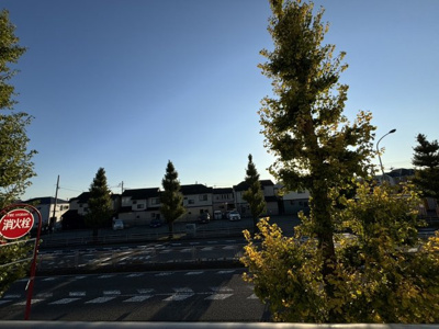 【展望】 | ミドリビル