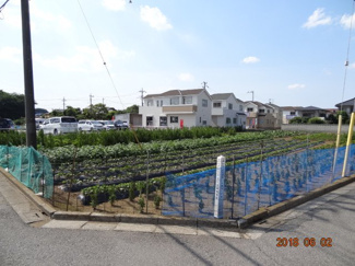 【外観】 | 外観も気になるポイント