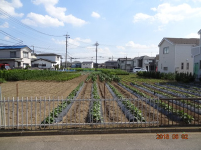【外観】 | 現地見学会さいたま市緑区三室　敷地広々42坪～45坪の地震に強い新築分譲住宅全3棟・残1棟 | おしゃれな外観です