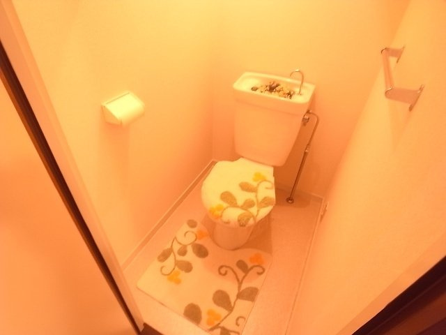 メゾンボヌール今泉のトイレ