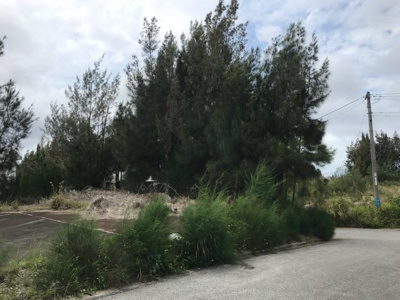 【外観】 | 恩納村希望ヶ丘内売土地